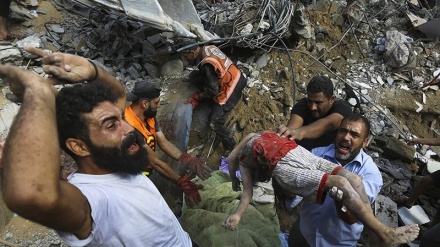 Agresi Brutal Israel ke Gaza Memasuki Hari ke-31, Semua Diserang