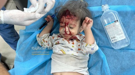 Амир-Абдоллахиан акцентирует срочные меры Организацией Объединенных Наций для полного снятия блокады в районе Рафаха