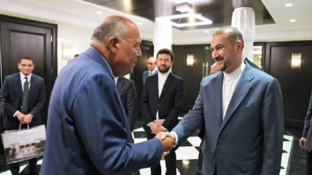 Fələstini təhəvvulaton barədə İron və Misri xarıci vəziron votımon