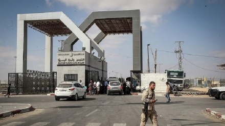 הצלב האדום: האסירים יועברו דרך מעבר רפיח למצרים