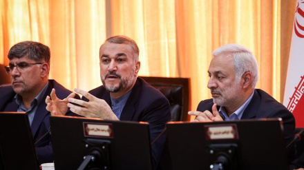 אמיר עבדולהיאן : ההתקוממות מפעילה לחץ על הציונים ותומכיהם