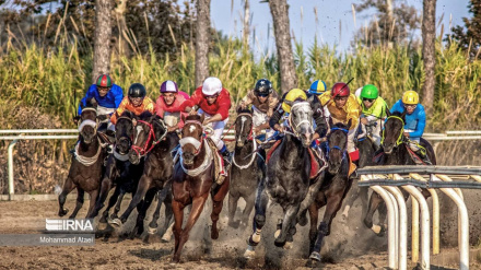(FOTO) Gonbad-e Kavus, stagione di corse a cavalli in Iran - 2
