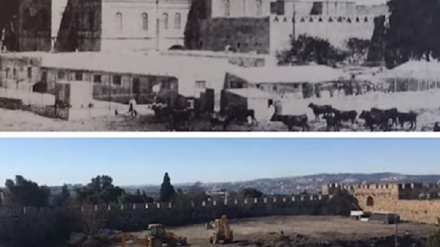 Հակոբ Սևան․ Հայաստանը պետք է ճնշում գործադրի Իսրայելի վրա «Կովերի այգու» հարցում