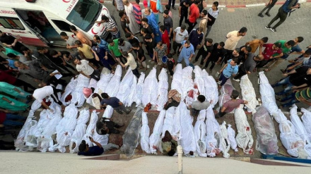 Москва призвала срочно остановить кровопролитие в Палестине