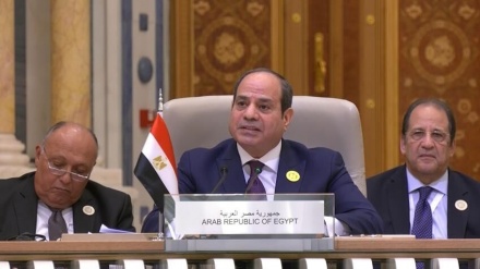 נשיא מצרים: אנו קוראים להפסקת אש ולחקירה של הפרת החוק הבינלאומי בעזה