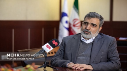 سخنگوی سازمان انرژی اتمی ایران: آب سنگین ایران در رتبه نخست دنیا است