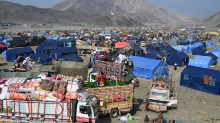 د افغانستان زرګونو کورنۍ له پاکستان څخه ورستنې شوي دي نور جزیات دلته لرو