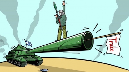 (VIGNETTE) Resistenza palestinese
