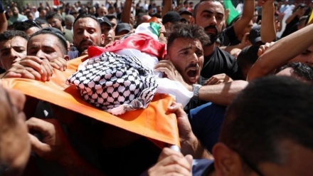 イスラエルのガザ攻撃で３１人が殉教