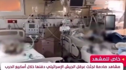  Alarming footage shows Israel left premature babies to die alone in Gaza hospital 