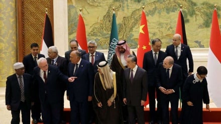 Ministri arabi e musulmani chiedono immediato cessate il fuoco a Gaza  