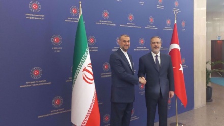 Iran's FM meets Turkish counterpart to discuss Israeli war on Gaza