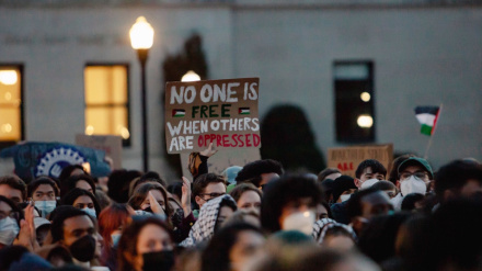  Columbia University students form coalition to push for divestment from Israel 