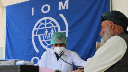 له پاکستانه ویستل شوي  افغان کډوال دوامدار ملاتړ ته اړتیا لري