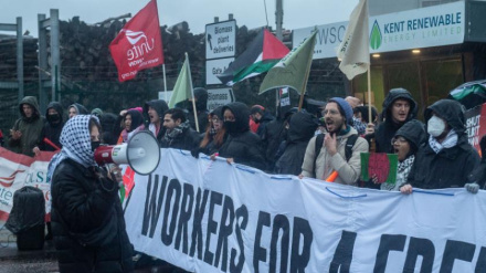 Декларация солидарности медицинского персонала Британии с народом Газы