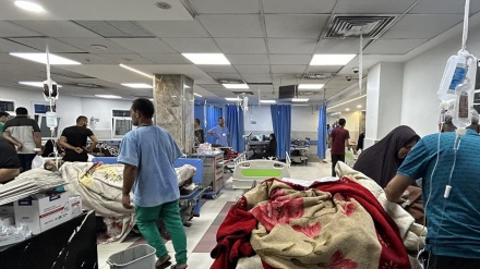  Hundreds flee Gaza’s al-Shifa hospital on foot amid Israel’s ongoing attacks 