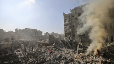 Пробуждение человеческой совести благодаря терпению народа Газы