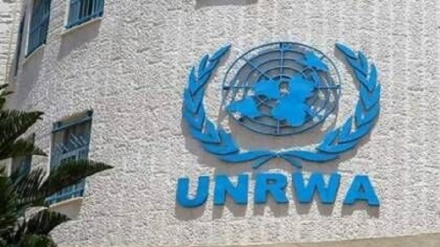 88 нафар аз коркунони ожонси имдодрасонии UNRWA дар Ғазза кушта шуданд