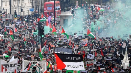 巴勒斯坦支持者连续第七周在英国举行集会