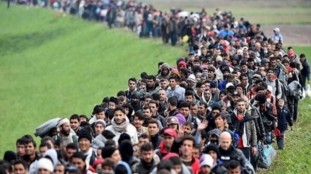 Австрия: проблема иммигрантов может привести к свержению правительств