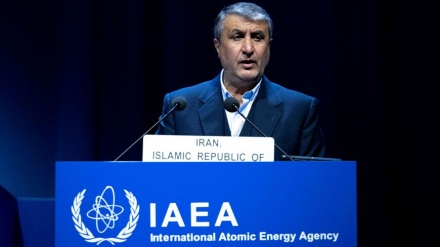 伊朗原子能机构主席：国际原子能机构必须对犹太复国主义政权的核威胁做出反应 