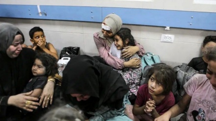 Dita e 38-të e operacionit Stuhia Al-Aksa/katastrofa njerëzore në spitalin al-Shifa në Gaza