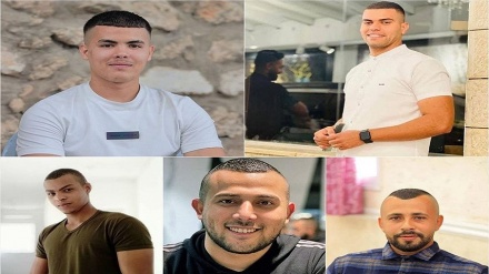 צבא ישראל רצח 5 פלסטינים בתקיפה בטול כרם
