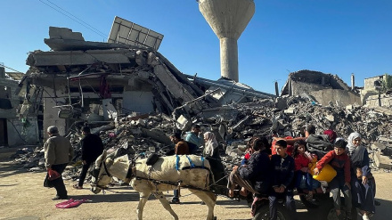 (FOTO) Gaza, la gente sta tornando alle proprie case - 1