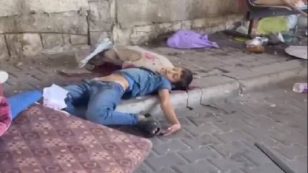 I giuristi di tutto il mondo mettono in guardia dal genocidio nella Striscia di Gaza 