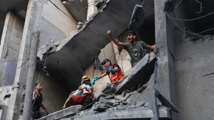 ガザ地区で、イスラエルの攻撃により新たに民間人12人殉教