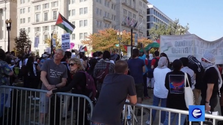 Все ради Газы: перед Белым домом прошел пропалестинский митинг