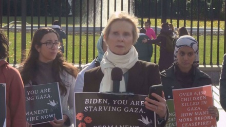 Schauspielerin Cynthia Nixon tritt in Hungerstreik und fordert dauerhaften Waffenstillstand in Gaza