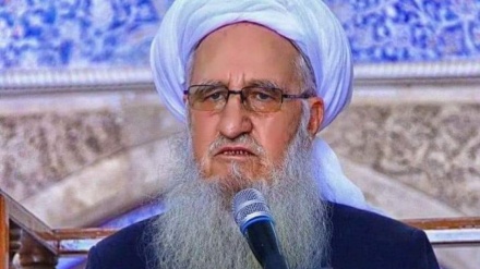 مجمع جهانی تقریب مذاهب درگذشت مولوی «خداداد صالح» را تسلیت گفت