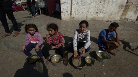  UN food agency warns Gaza at risk of famine after weeks-long Israeli bombardment 