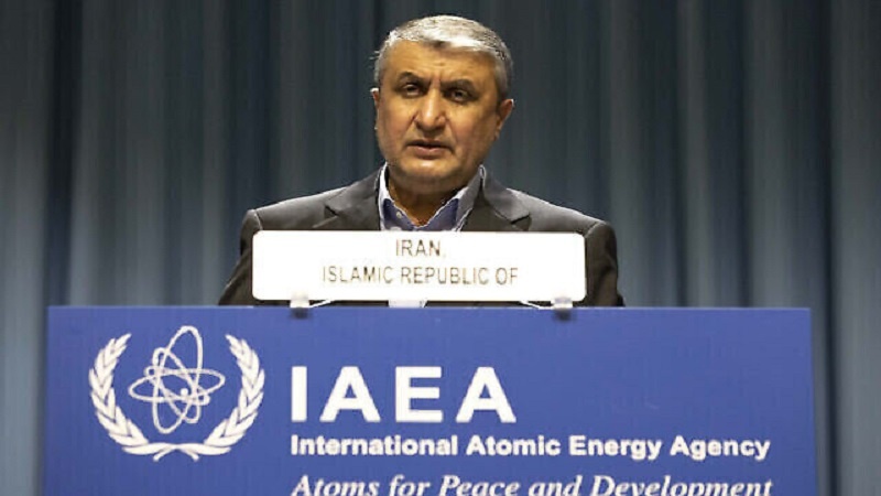 رئیس سازمان انرژی اتمی ایران: پیامد‌های تهدید به استفاده از سلاح هسته‌ای از سوی اسرائیل در سازمان ملل منعکس شود