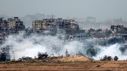 Временное прекращение огня в секторе Газа вступило в силу