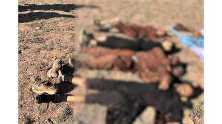 د پاکستان پوځ: خیبر پښتونخوا کې مو ‍‍۱۱ وسله وال مخالفین وژلي