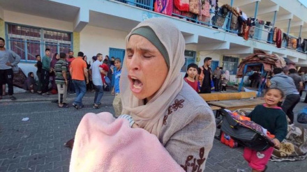 ICESCO condemns Israel’s ‘heinous crime’ of striking schools in Gaza