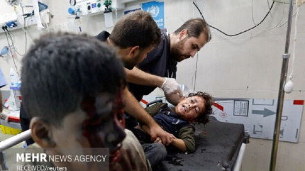 Amnesty International: ЕС должен призвать остановить преступления сионистского режима против сектора Газа