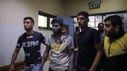 Israeli attacks martyr 3,100 school students, 130 teachers in Gaza: Report