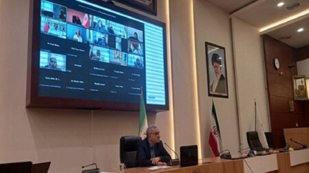 Необходимость создания MSF в исламских странах для оказания помощи раненым в Газе