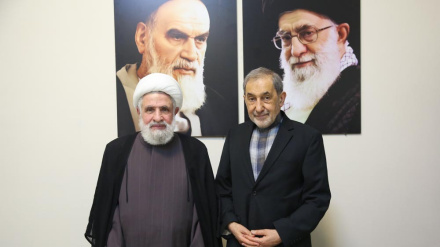 Велаяти: События в Палестине происходят при прямой поддержке США