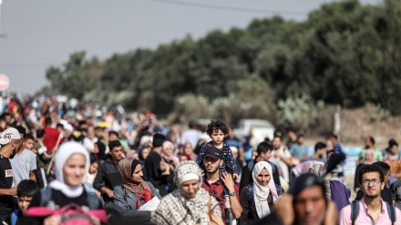 UNO: Mehr als 50.000 Palästinenser an einem Tag aus dem nördlichen Gazastreifen geflohen