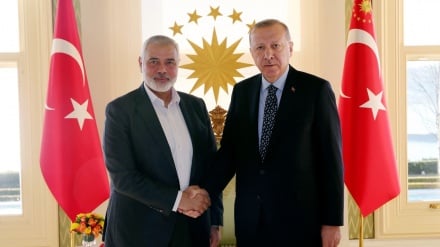 דיווח: מנהיגים מחמאס הגיעו לטורקיה כדי לפגוש את ארדואן