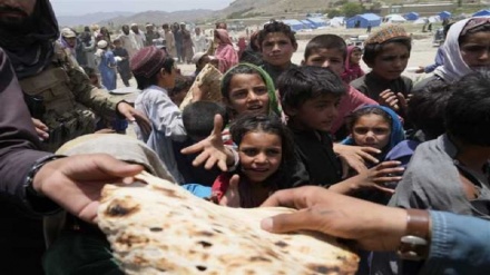 هشدار «برنامه جهانی غذا» درباره فاجعه گرسنگی در افغانستان