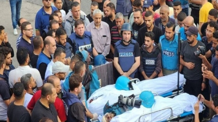 Мученическая гибель 50 журналистов во время войны в секторе Газа 