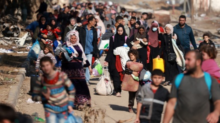 1.7 million people displaced due to Israeli war on Gaza: UNRWA
