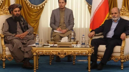 Ahmadian: Eýran Owganystanyň garaşsyzlygyny, durnuklylygyny, howpsuzlygyny we ösüşini goldaýar