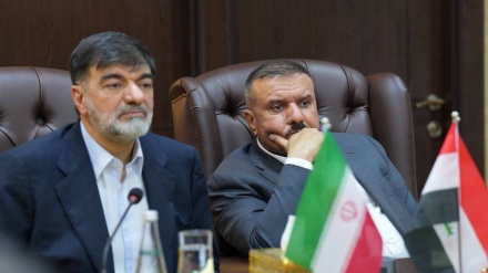 Проведение встречи Ирана и Ирака по борьбе с незаконным оборотом наркотиков