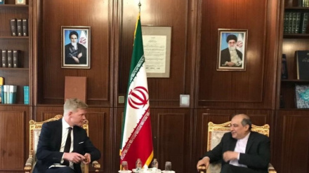 Хаджи: Америка управление уничтожением беззащитного народа Палестины